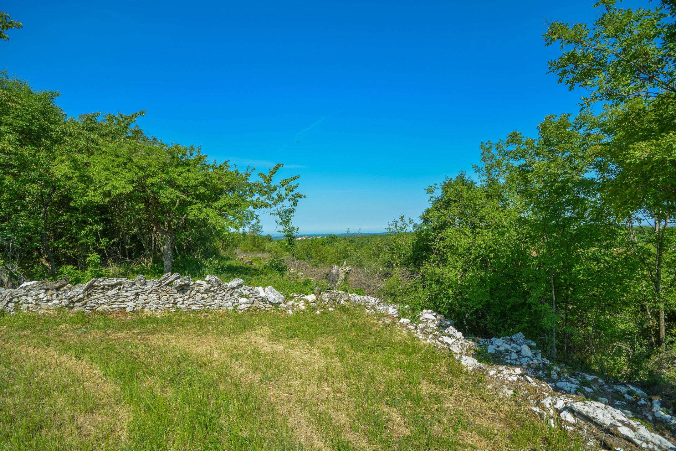 Umgebung von Buje | Baugrundstück mit offenem Meerblick