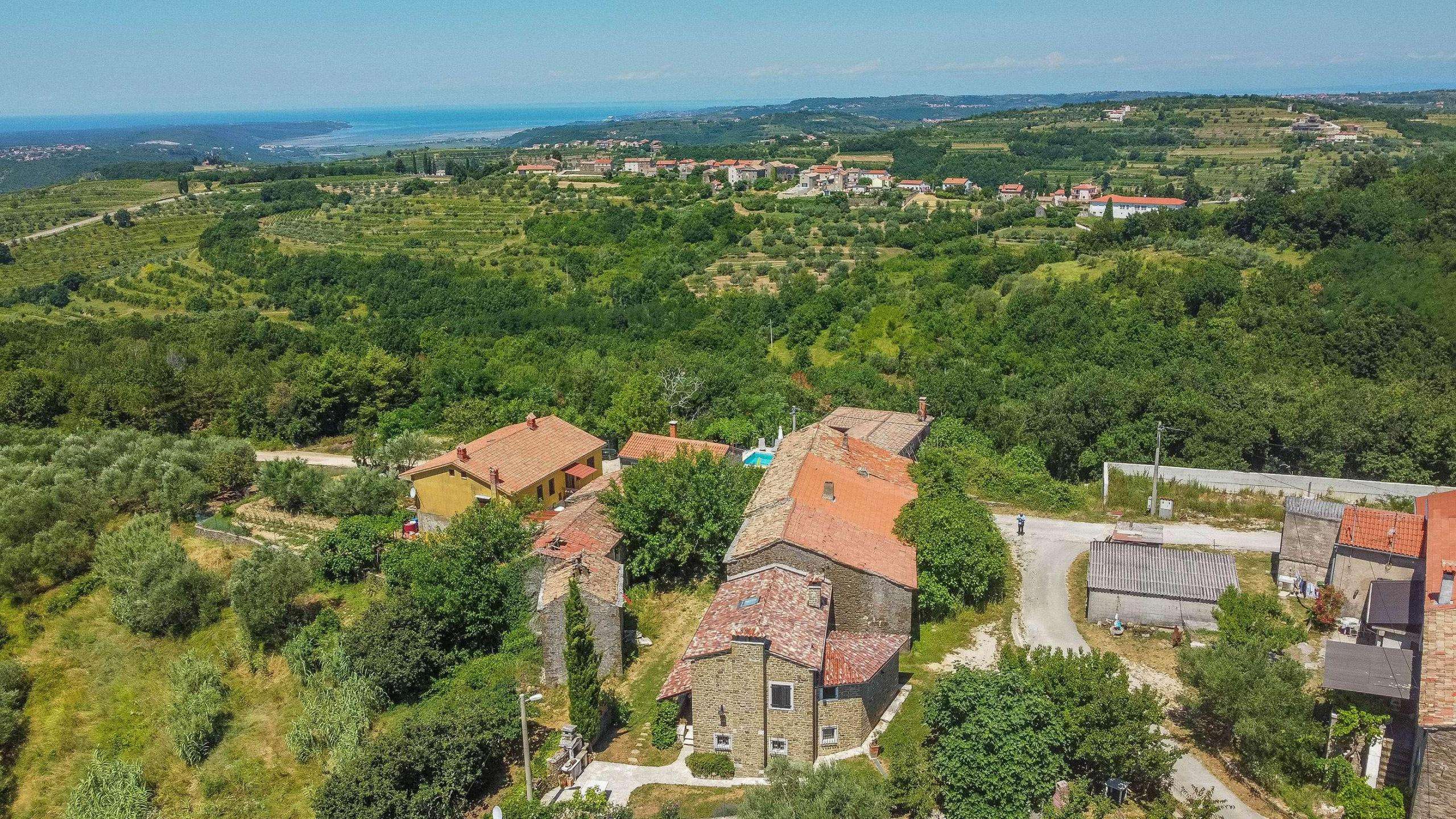 DJI_0317