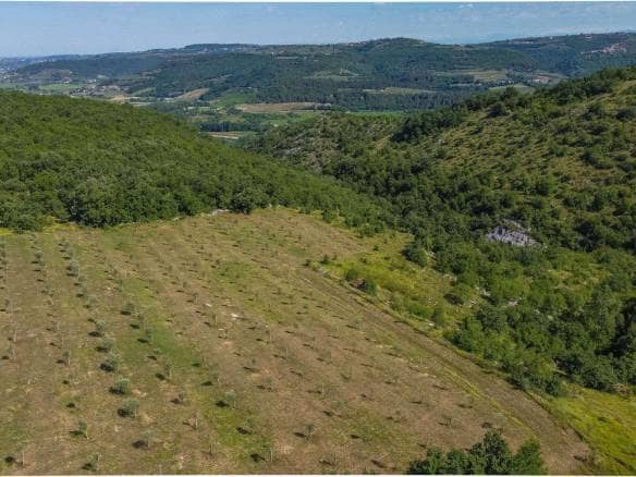 Buje okolica | Građevinsko zemljište s pogledom na Momjan