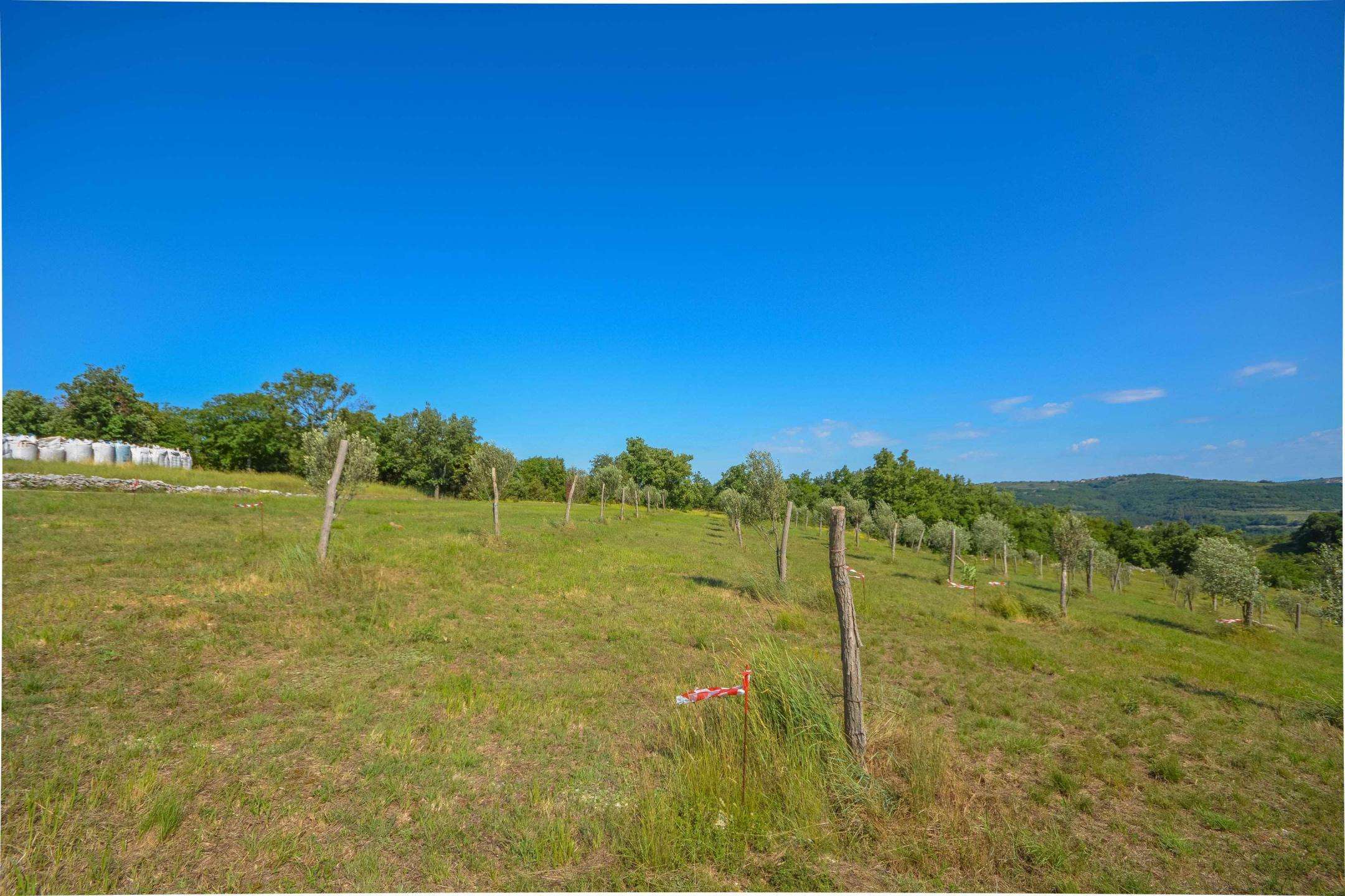 Buje surroundings | Building land with open views
