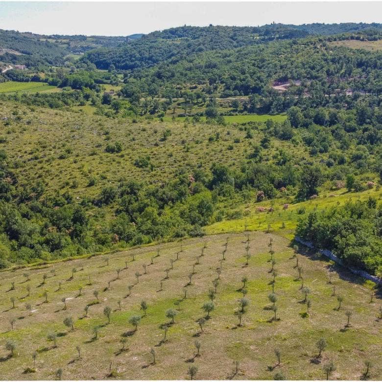 Buje surroundings | Building land with open views