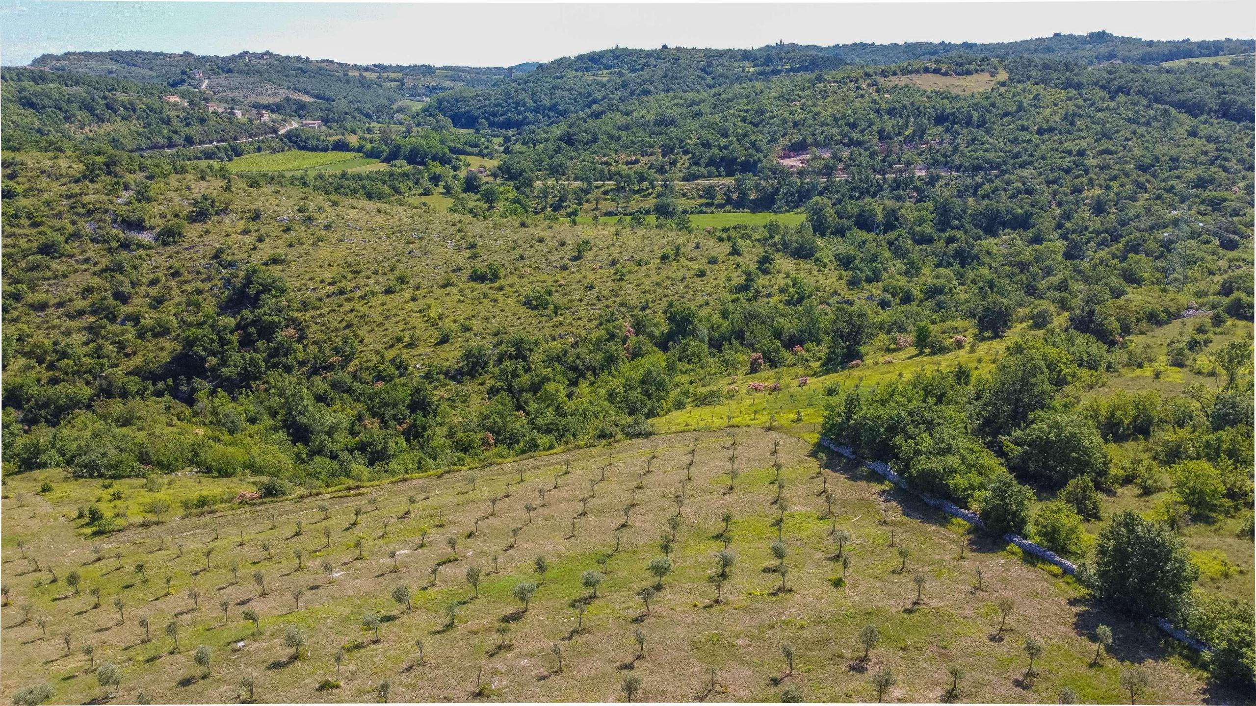 Buje surroundings | Building land with open views