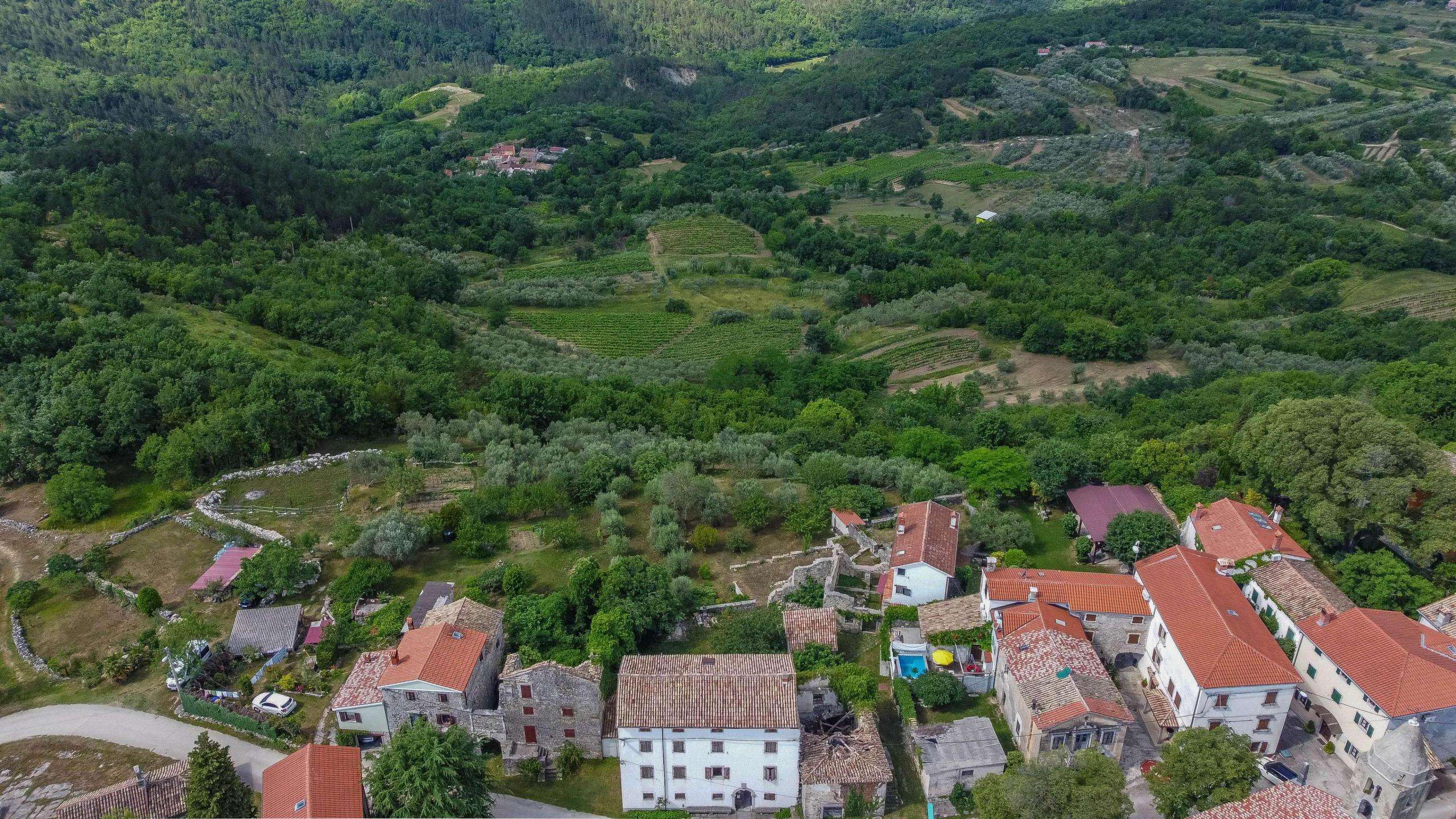 Buzet okolica | Istrska kamnita hiša s panoramskim razgledom Buzet okolica | Istrska kamnita hiša s panoramskim razgledom
