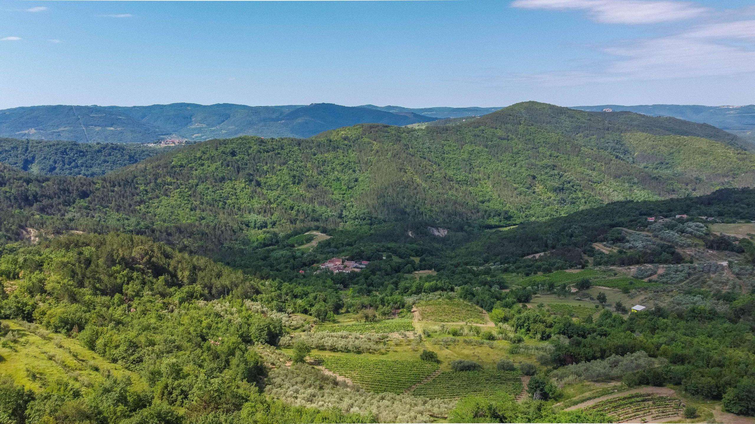 Buzet surroundings | Istrian stone house with panoramic views