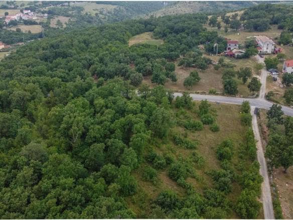 Dintorni di Momiano | Tre terreni edificabili in ottima posizione, un'opportunità per gli investitori!