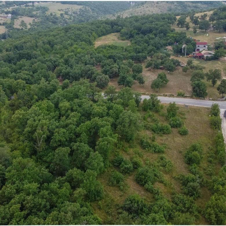Dintorni di Momiano | Tre terreni edificabili in ottima posizione, un'opportunità per gli investitori!