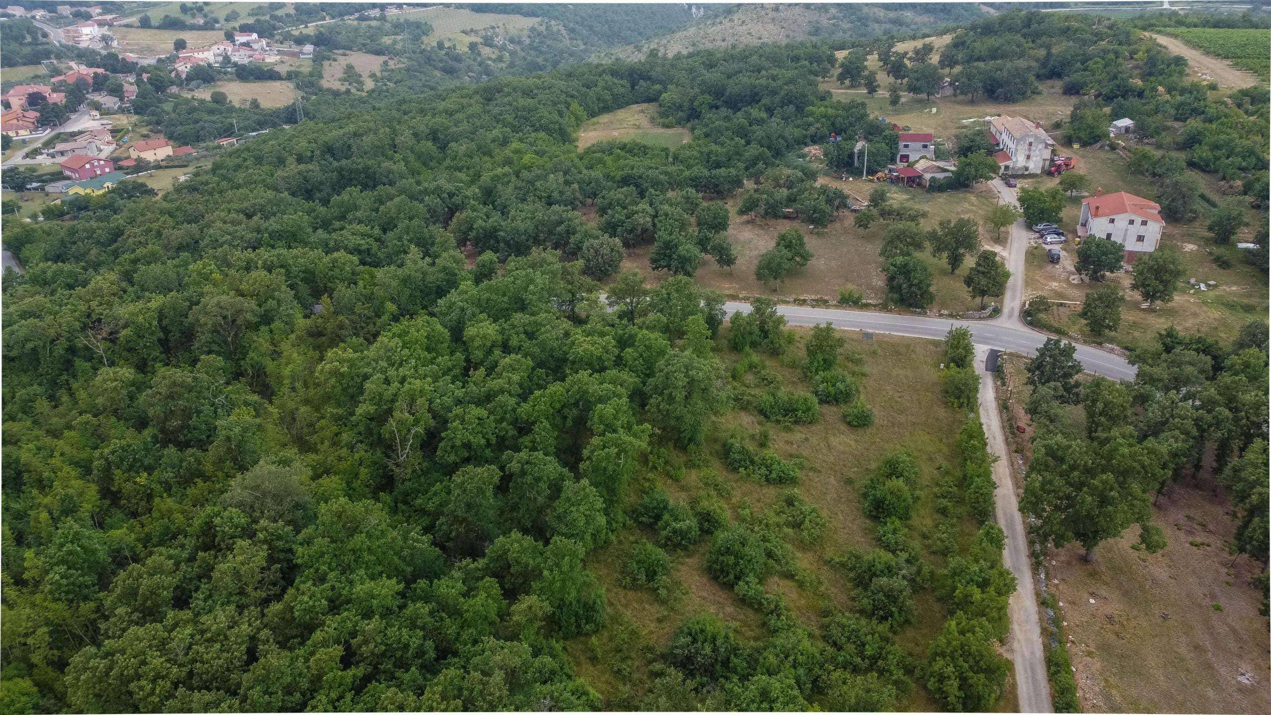Dintorni di Momiano | Tre terreni edificabili in ottima posizione, un'opportunità per gli investitori!