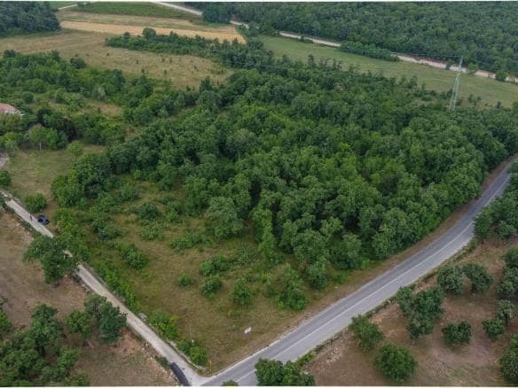 Dintorni di Momiano | Tre terreni edificabili in ottima posizione, un'opportunità per gli investitori!