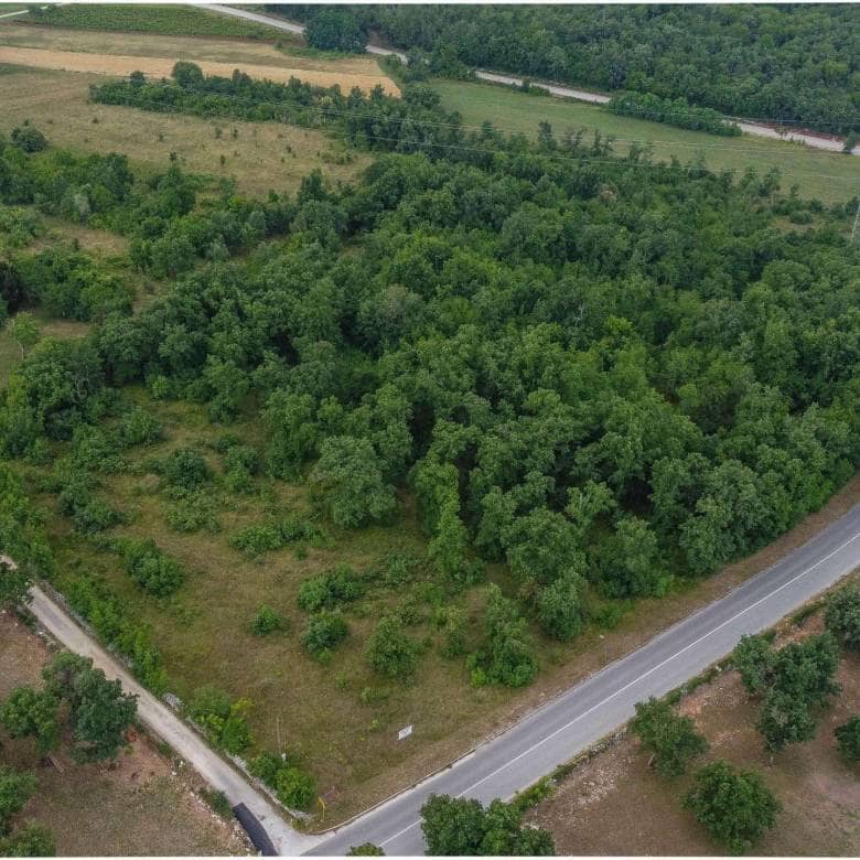 Dintorni di Momiano | Tre terreni edificabili in ottima posizione, un'opportunità per gli investitori!