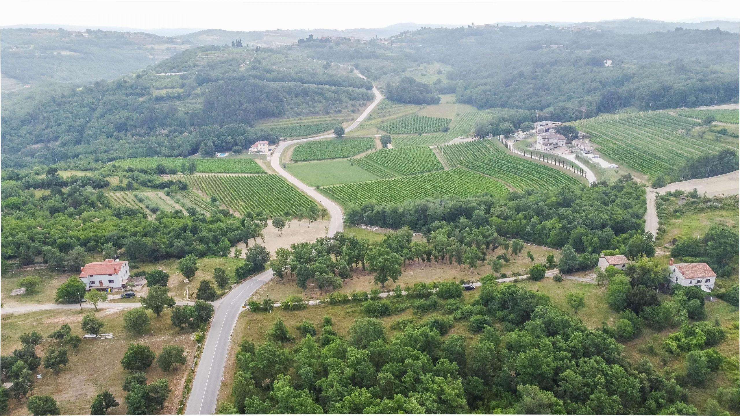 Dintorni di Momiano | Tre terreni edificabili in ottima posizione, un'opportunità per gli investitori! Dintorni di Momiano | Tre terreni edificabili in ottima posizione, un'opportunità per gli investitori!
