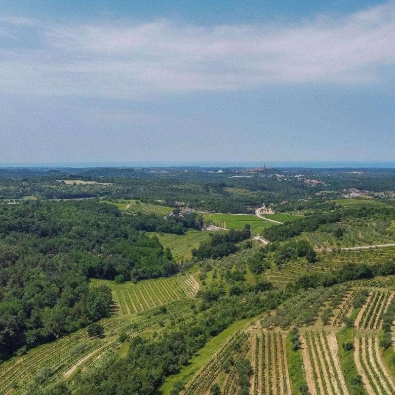 Momjan | Vila novogradnja z bazenom in čudovitim razgledom