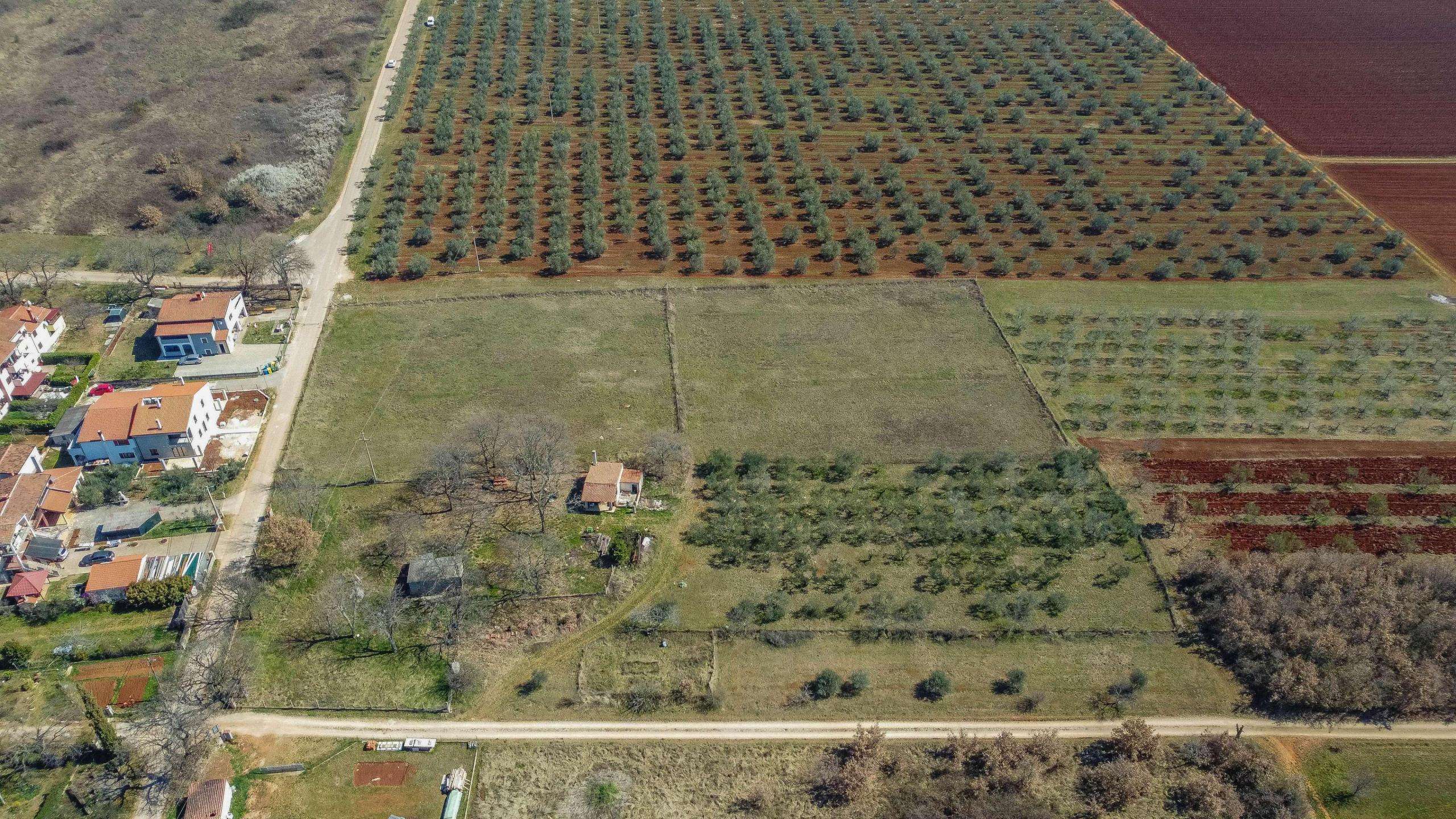 Novigrad | Attractive land in the T3 zone