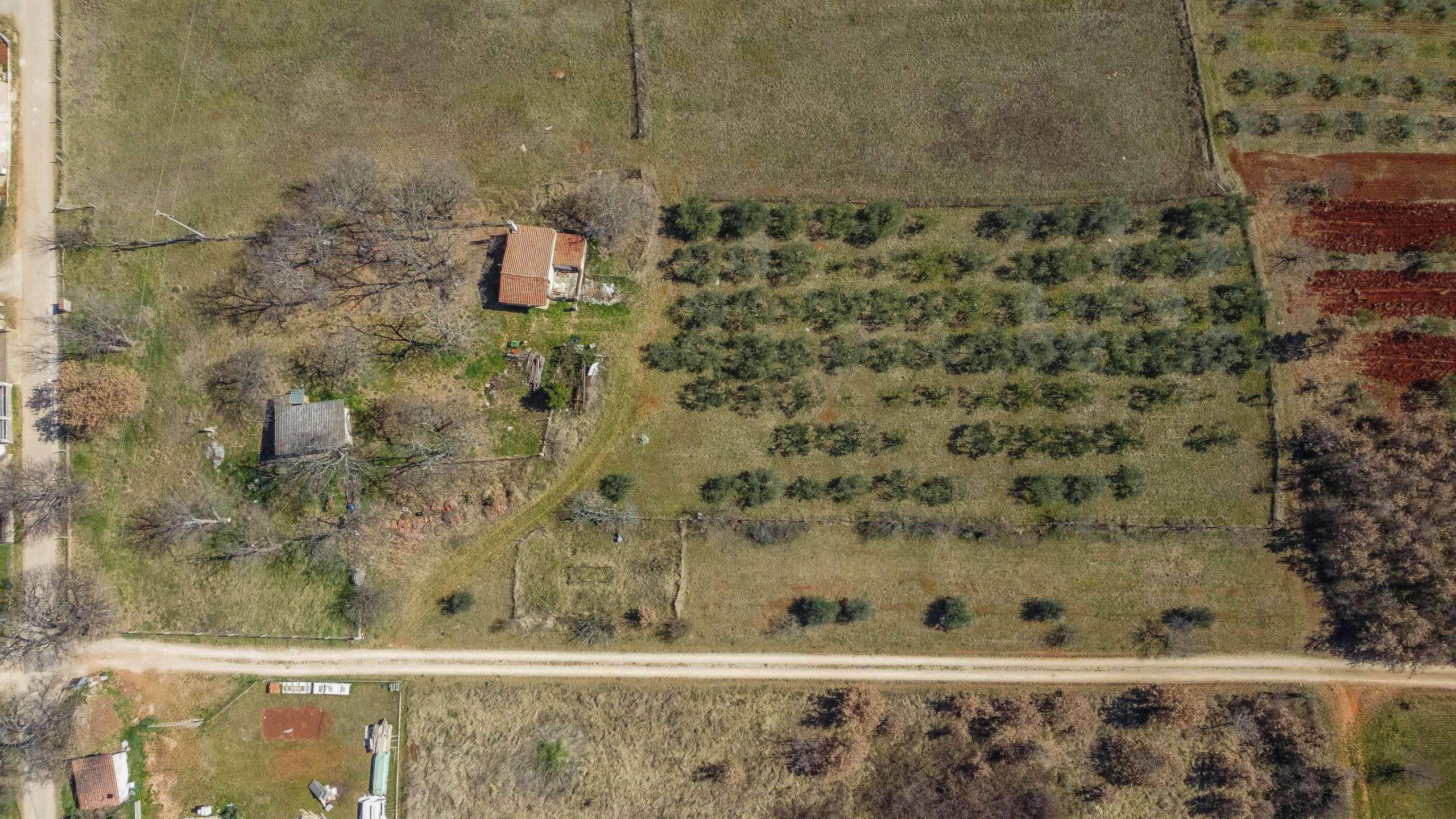 Novigrad | Attractive land in the T3 zone