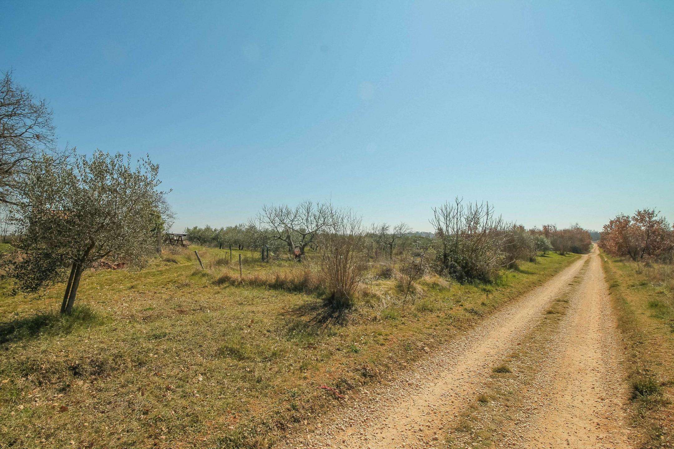 Novigrad | Attractive land in the T3 zone