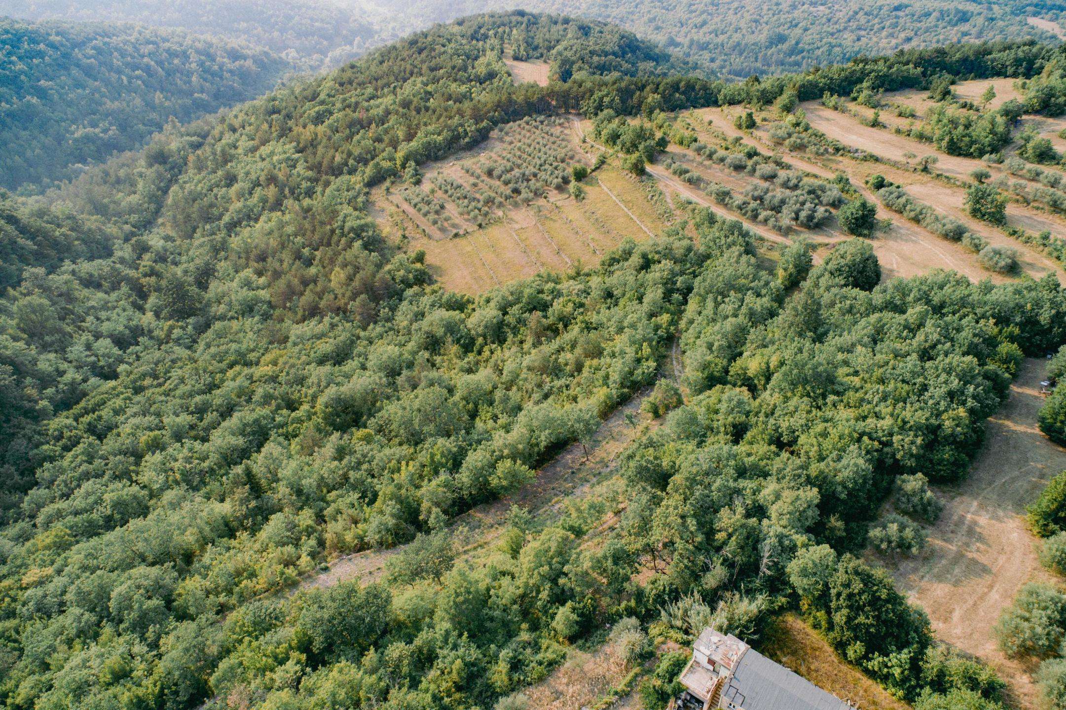 DJI