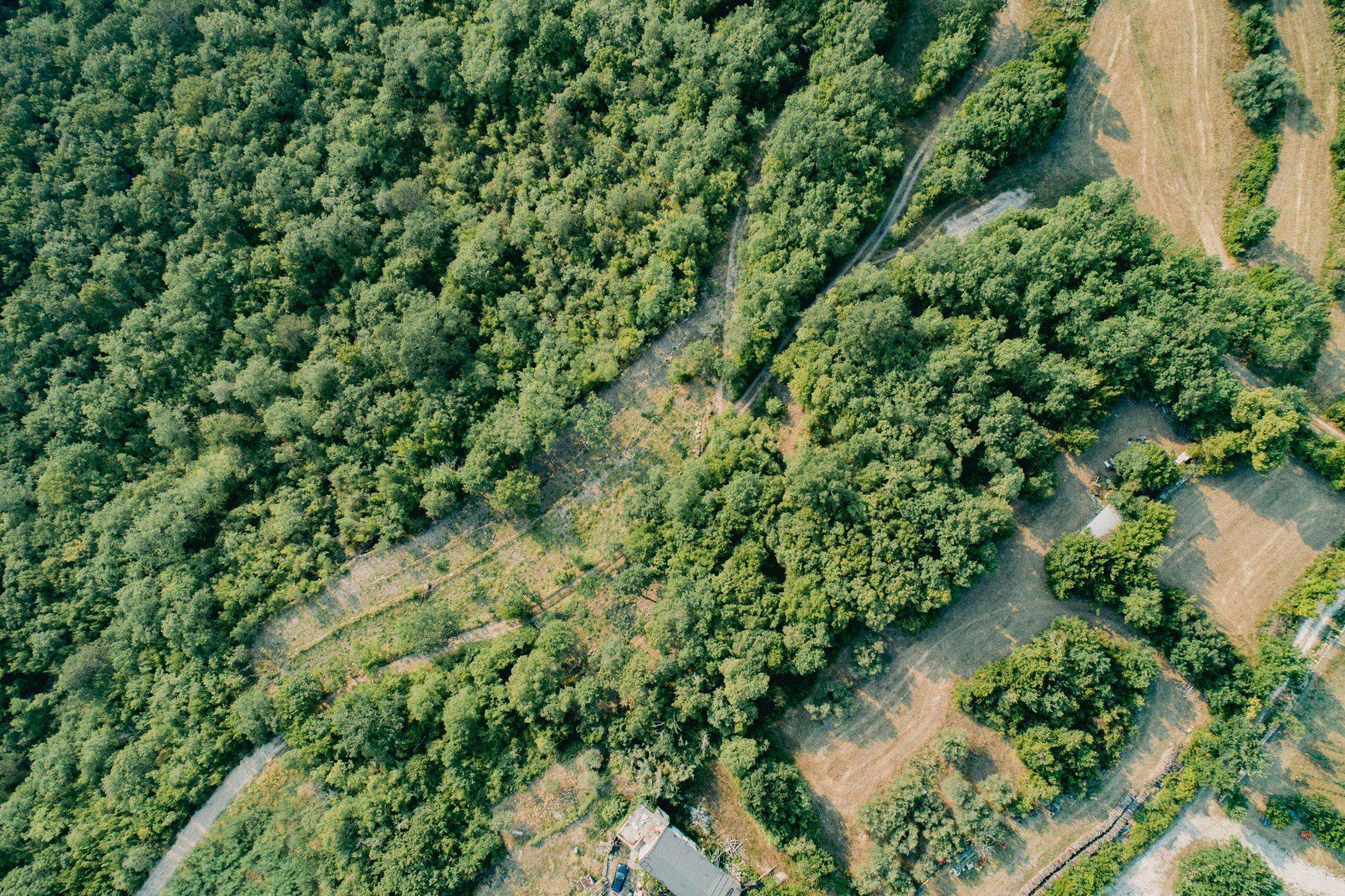 DJI
