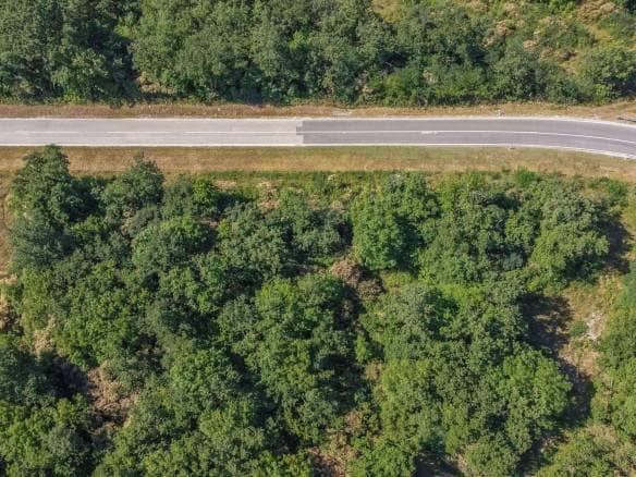 Buje okolica | Poljoprivredno zemljište za investiciju na izvrsnoj lokaciji