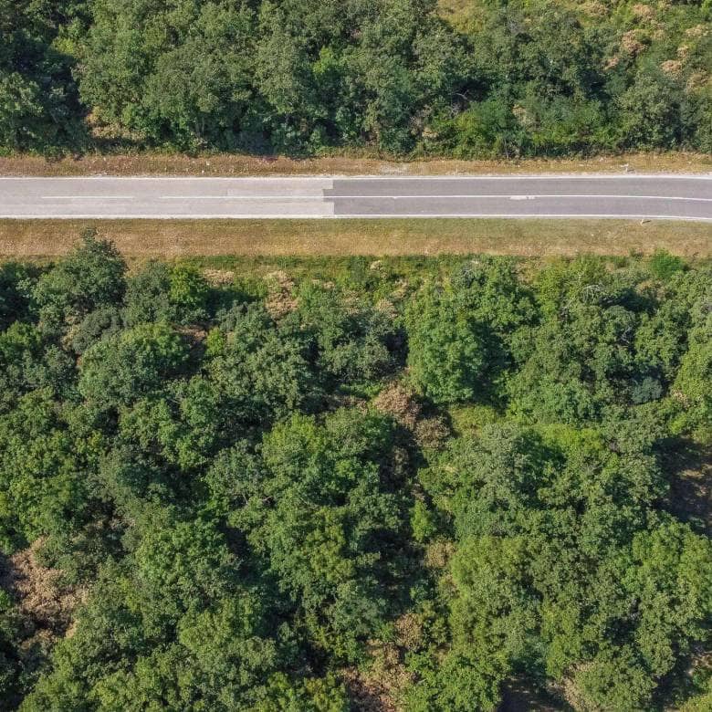 Buje okolica | Poljoprivredno zemljište za investiciju na izvrsnoj lokaciji