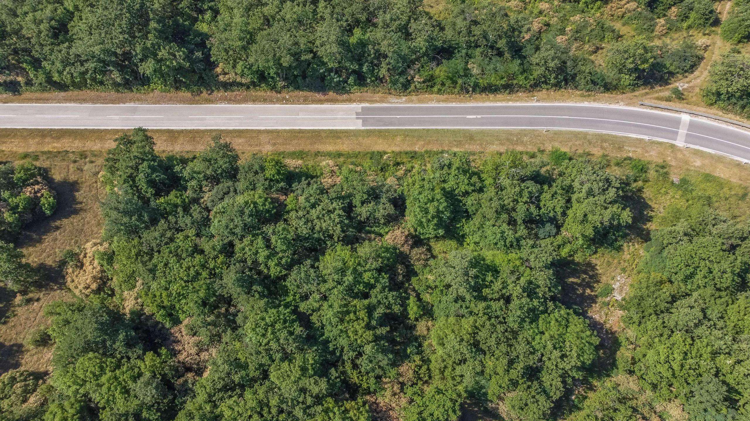 Buje okolica | Poljoprivredno zemljište za investiciju na izvrsnoj lokaciji