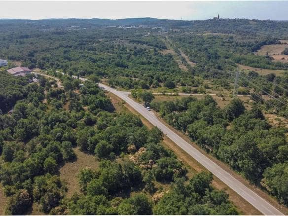 Buje okolica | Poljoprivredno zemljište za investiciju na izvrsnoj lokaciji