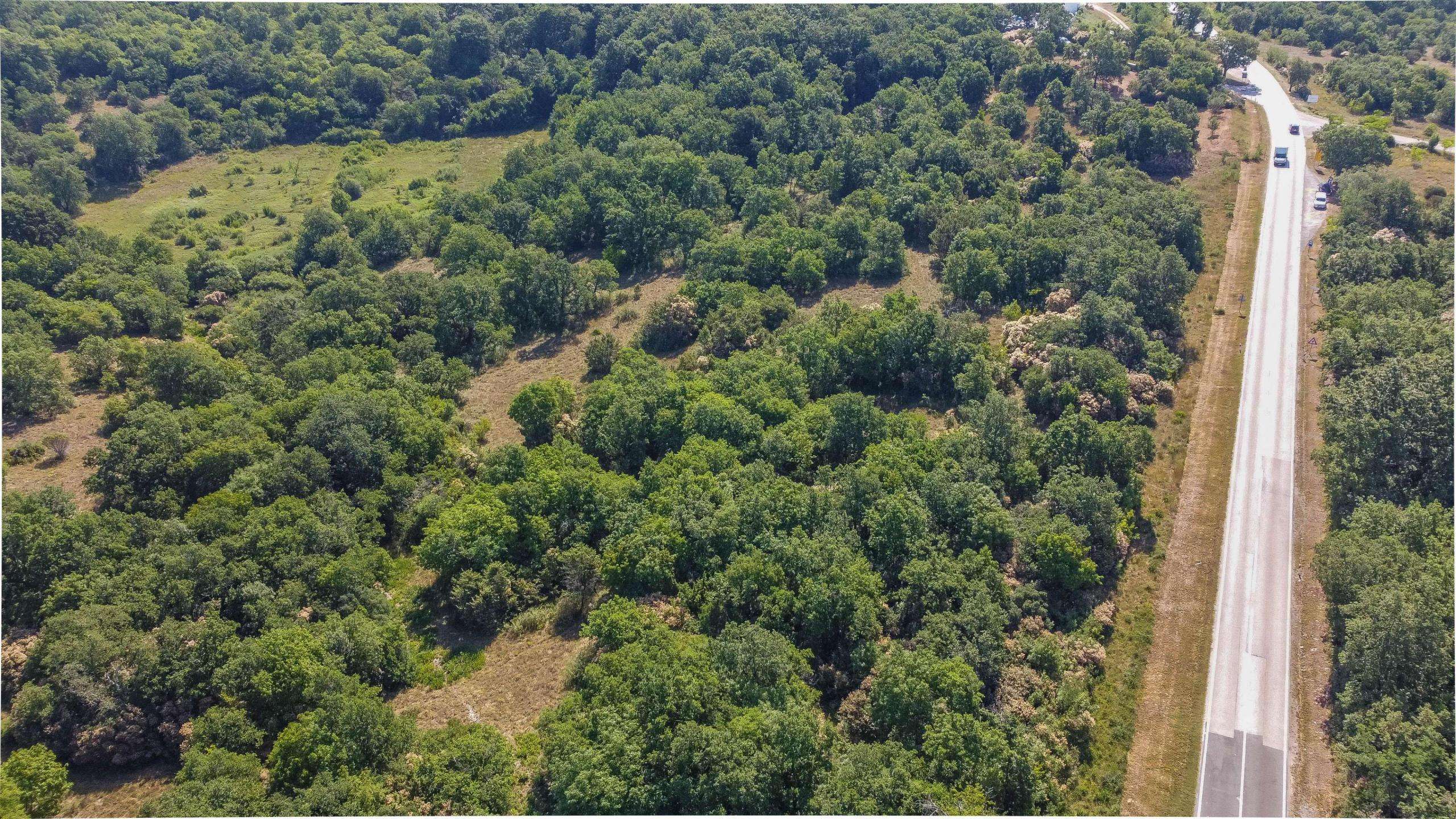 Buje okolica | Kmetijsko zemljišče za investicijo na odlični lokaciji