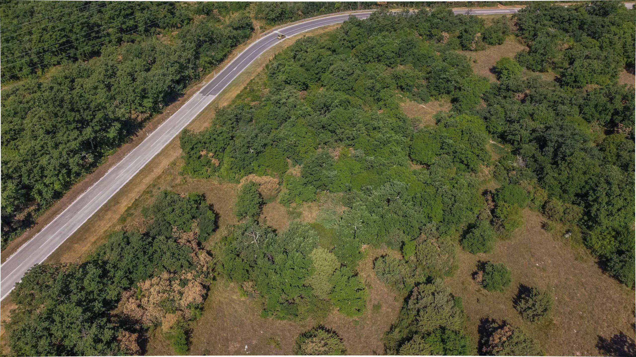 Buje okolica | Kmetijsko zemljišče za investicijo na odlični lokaciji