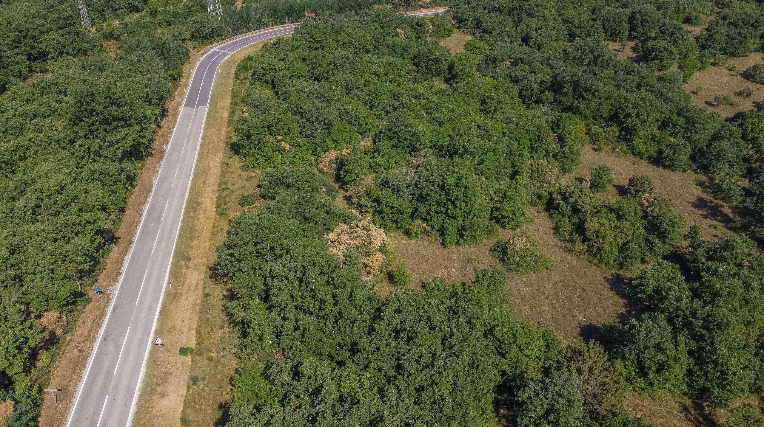 Buje okolica | Kmetijsko zemljišče za investicijo na odlični lokaciji