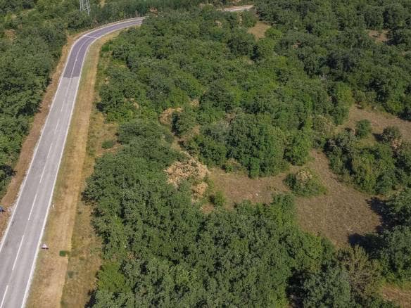 Buje okolica | Poljoprivredno zemljište za investiciju na izvrsnoj lokaciji