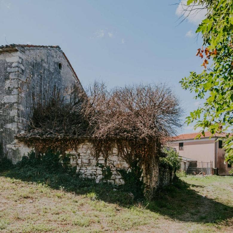 Buje okolica | Ruševina s pogledom na more