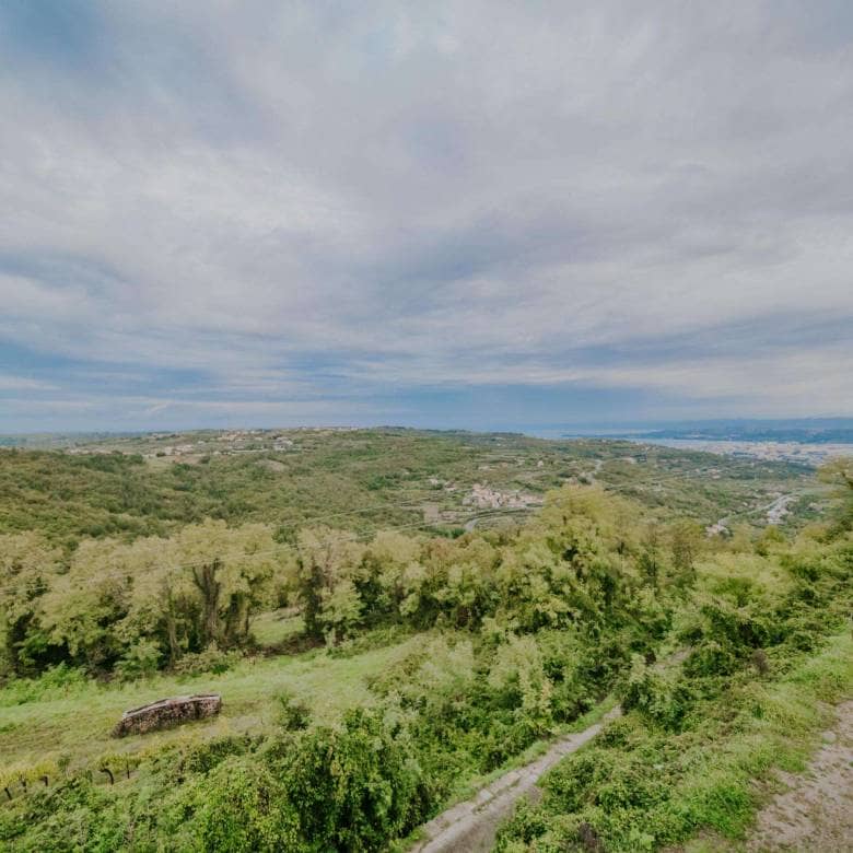 Koper-Gebiet | Einfamilienhaus mit wunderschönem Blick auf das Meer
