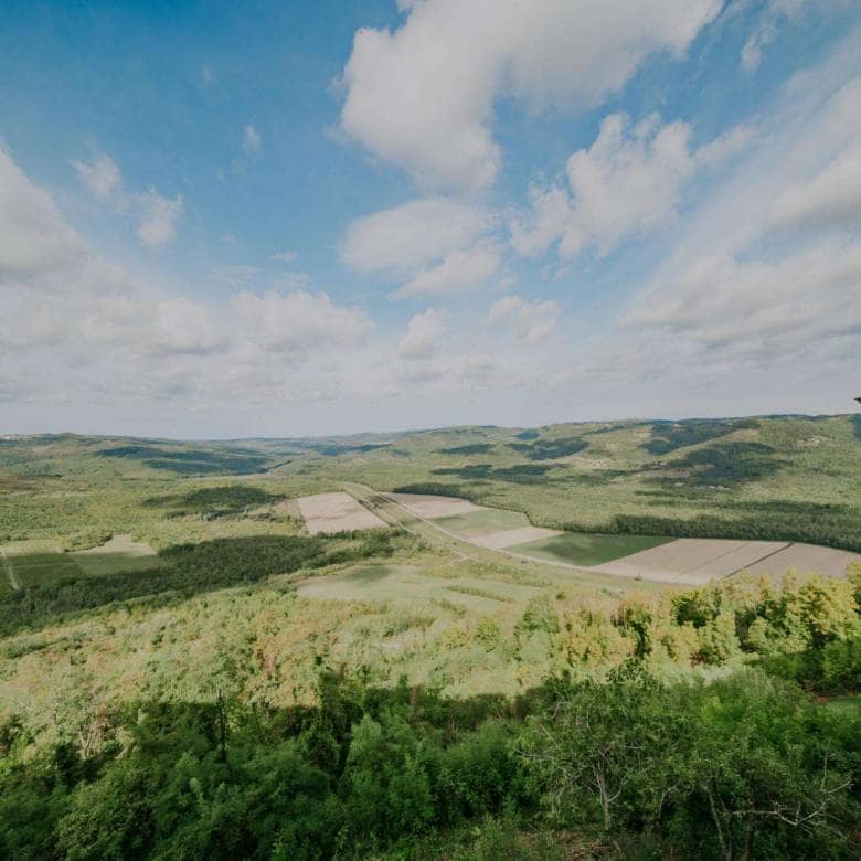 Motovun | House in the center with a beautiful view