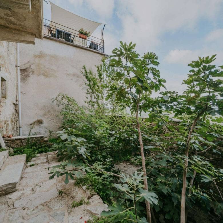 Motovun | House in the center with a beautiful view