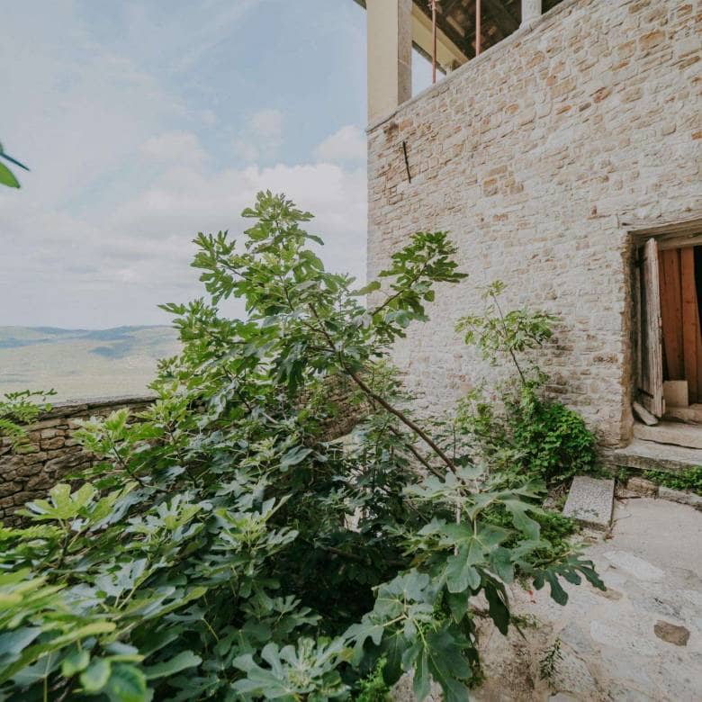 Motovun | House in the center with a beautiful view
