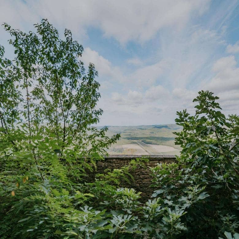 Motovun | House in the center with a beautiful view