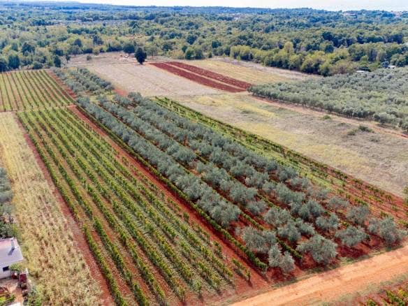 Region Umag | Ackerland zu verkaufen