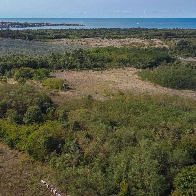 Umag | Lovrečica | Agrarland in ausgezeichneter Lage
