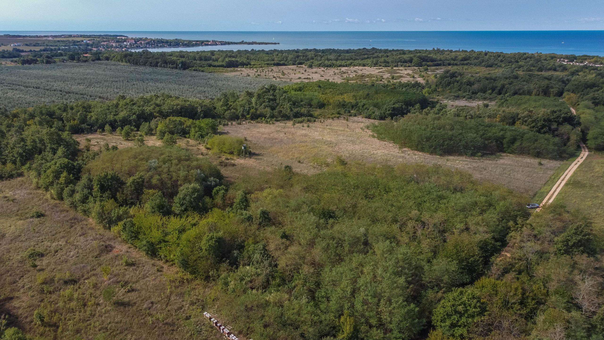 Umag | Lovrečica | Agrarland in ausgezeichneter Lage