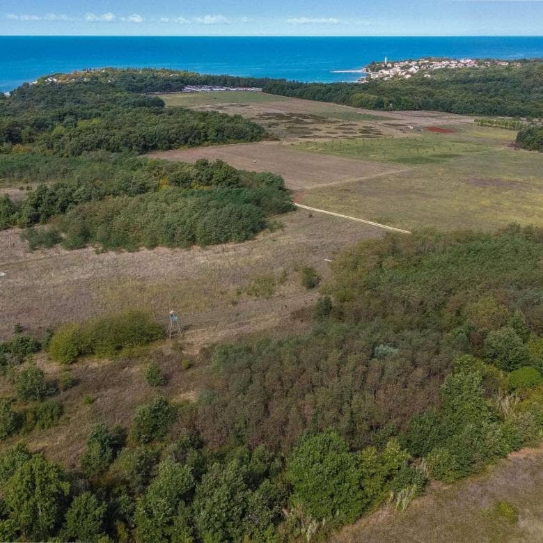 Umag | Lovrečica | Agrarland in ausgezeichneter Lage
