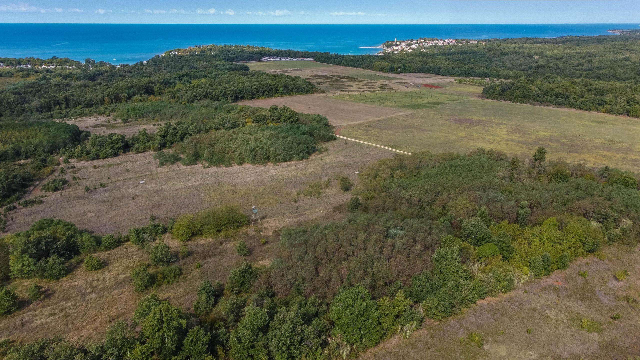 Umag | Lovrečica | Agrarland in ausgezeichneter Lage