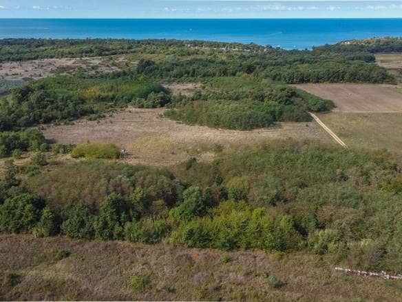 Umag | Lovrečica | Agrarland in ausgezeichneter Lage