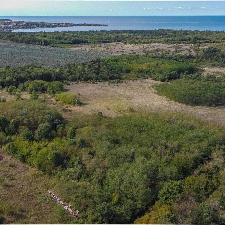 Umag | Lovrečica | Agrarland in ausgezeichneter Lage