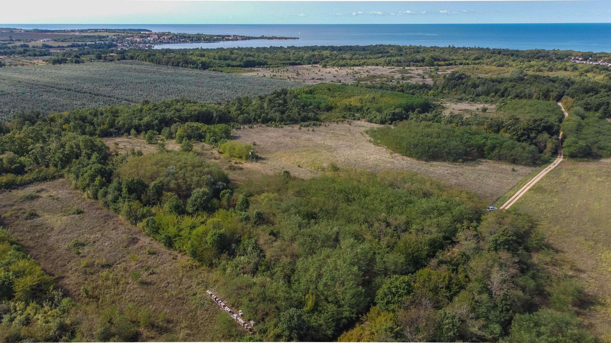 Umag | Lovrečica | Agrarland in ausgezeichneter Lage