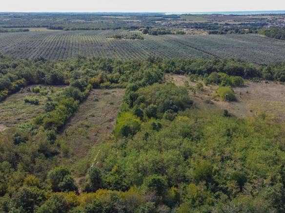 Umag | Lovrečica | Agrarland in ausgezeichneter Lage