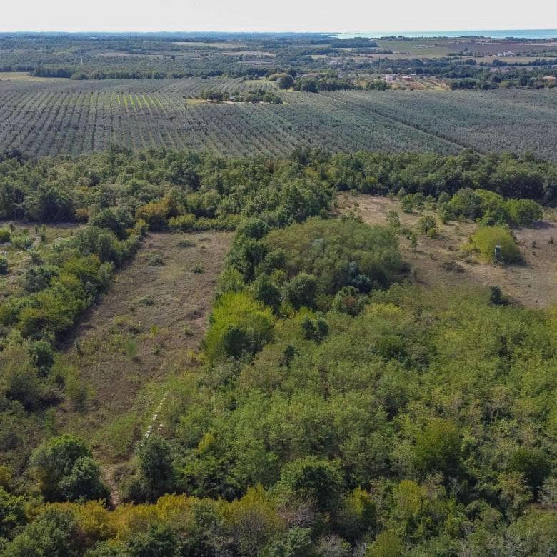 Umag | Lovrečica | Agrarland in ausgezeichneter Lage