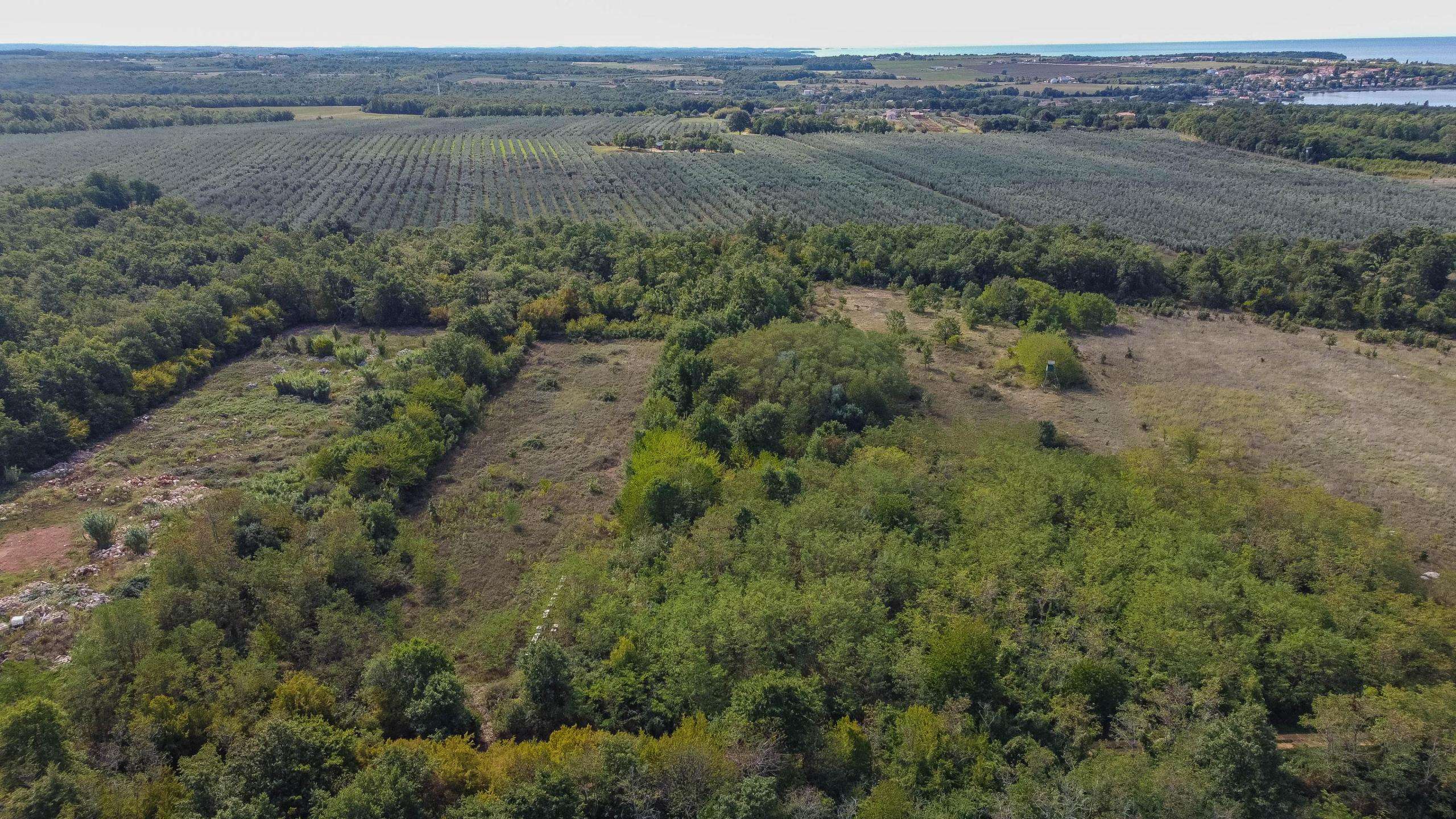 Umag | Lovrečica | Agrarland in ausgezeichneter Lage