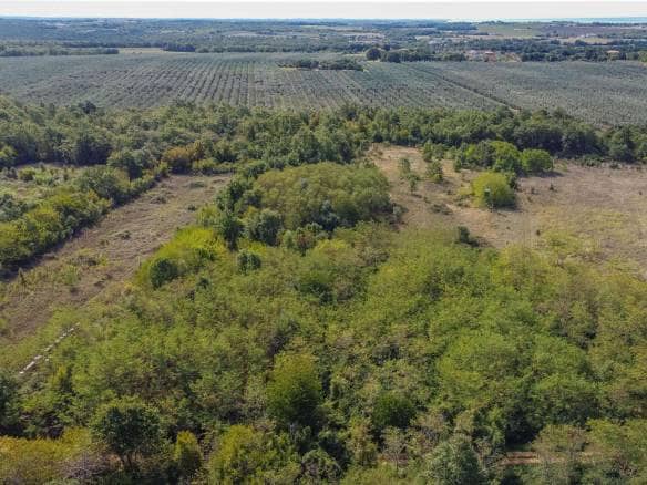 Umag | Lovrečica | Agrarland in ausgezeichneter Lage
