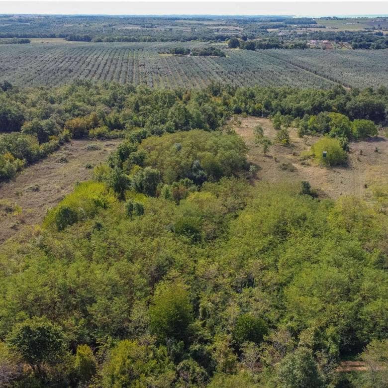 Umag | Lovrečica | Agrarland in ausgezeichneter Lage