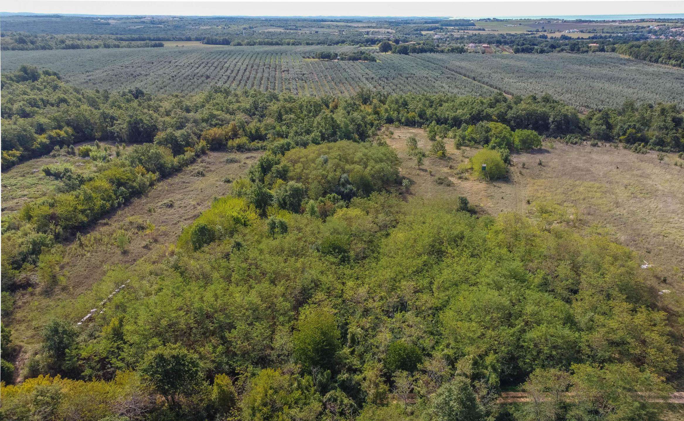Umag | Lovrečica | Agrarland in ausgezeichneter Lage