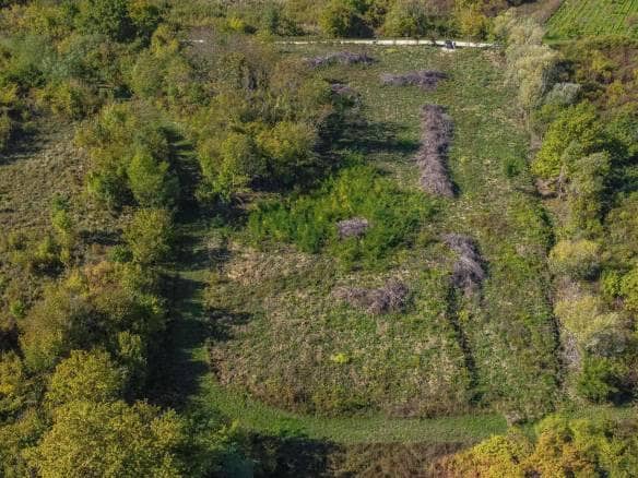 Buje | Ackerland in bester Lage