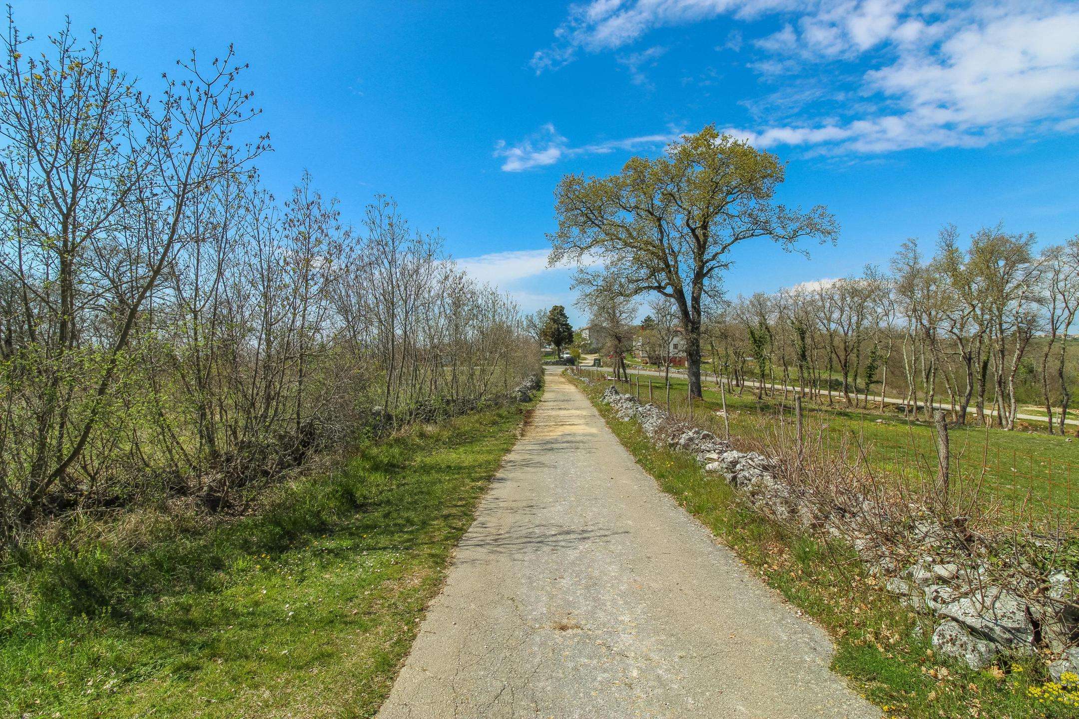 Surroundings of Momjan | Building plot in an excellent position, an opportunity for investors